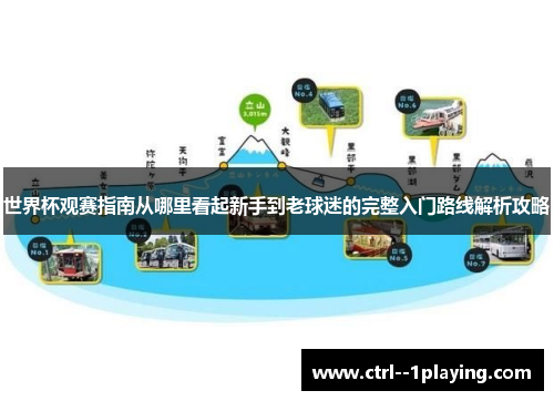 世界杯观赛指南从哪里看起新手到老球迷的完整入门路线解析攻略