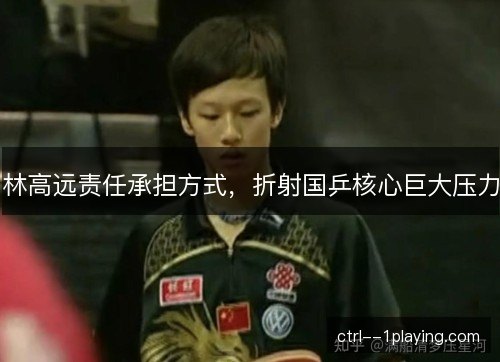 林高远责任承担方式,折射国乒核心巨大压力 林高远责任承担方式,折射国乒核心巨大压力